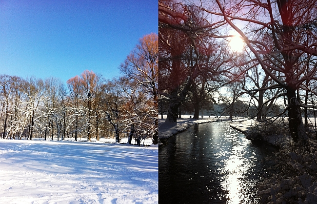 Der Englische Garten in München an Neujahr 2015