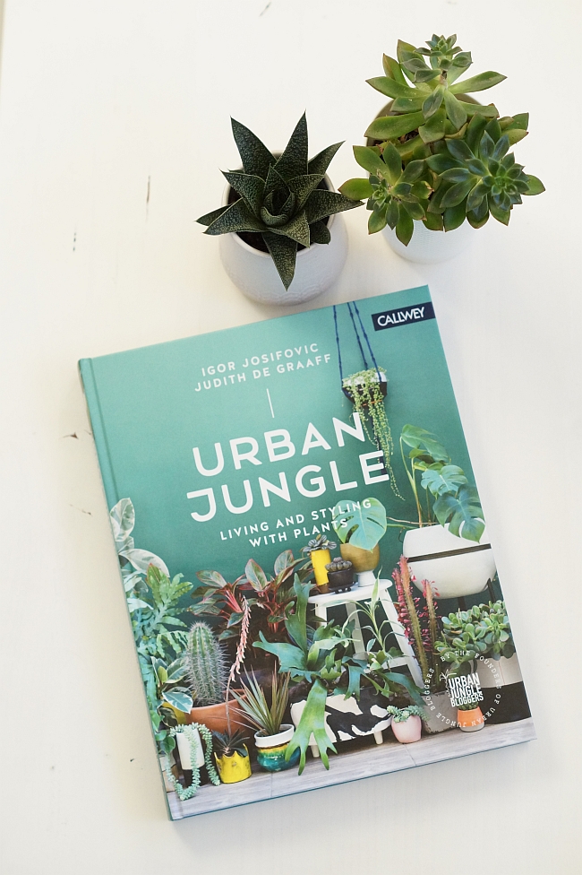 Urban Jungle Book | Foto: Sabine Wittig
