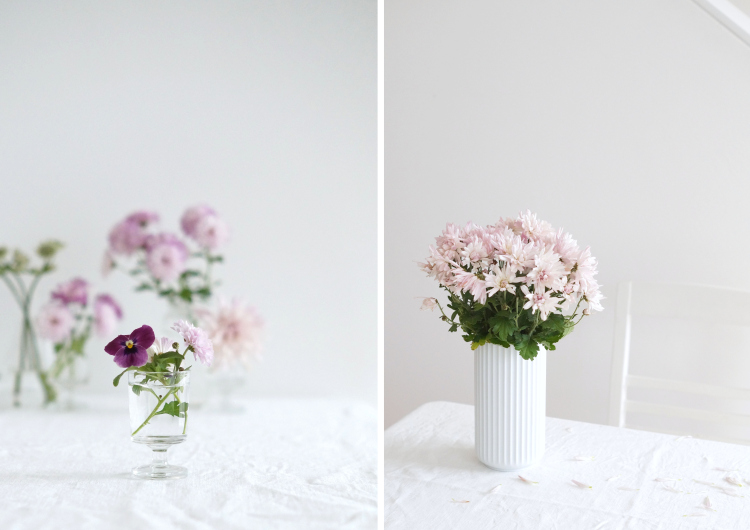 Rosa Chrysanthemen | Fotos: Sabine Wittig