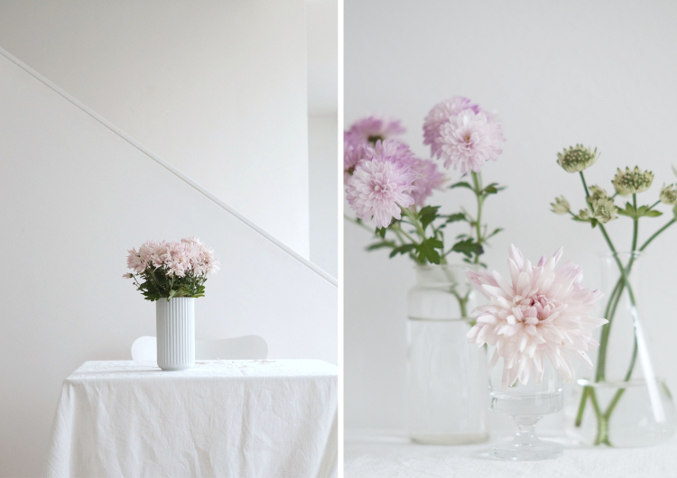 Rosa Chrysanthemen | Fotos: Sabine Wittig