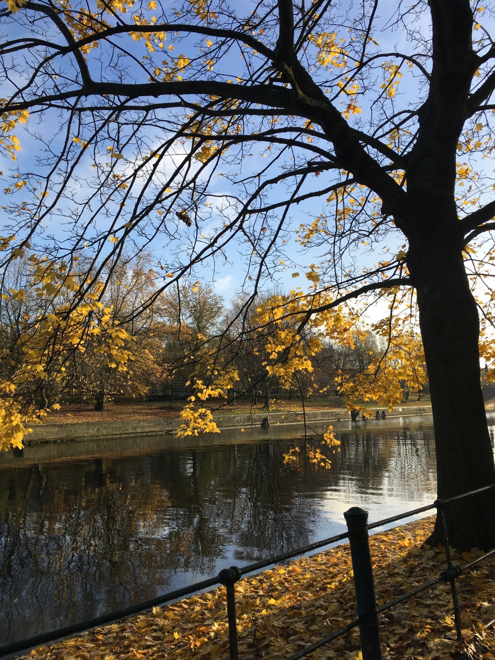 An der Spree im Herbst 2017 | Foto: Sabine Wittig