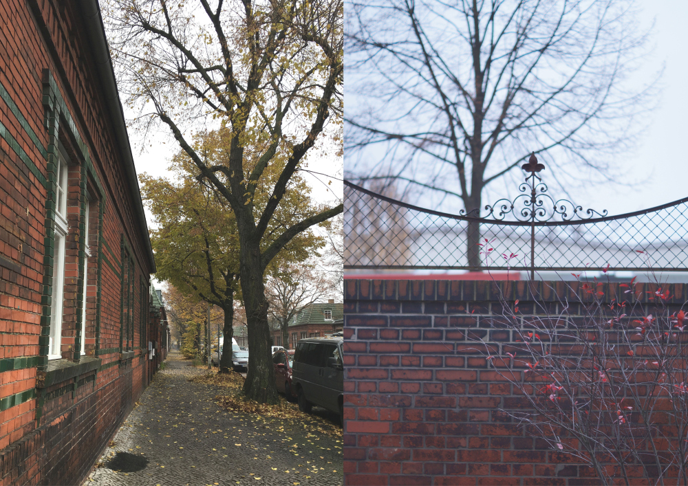 Berlin Weißensee im November 2017 | Fotos: Sabine Wittig