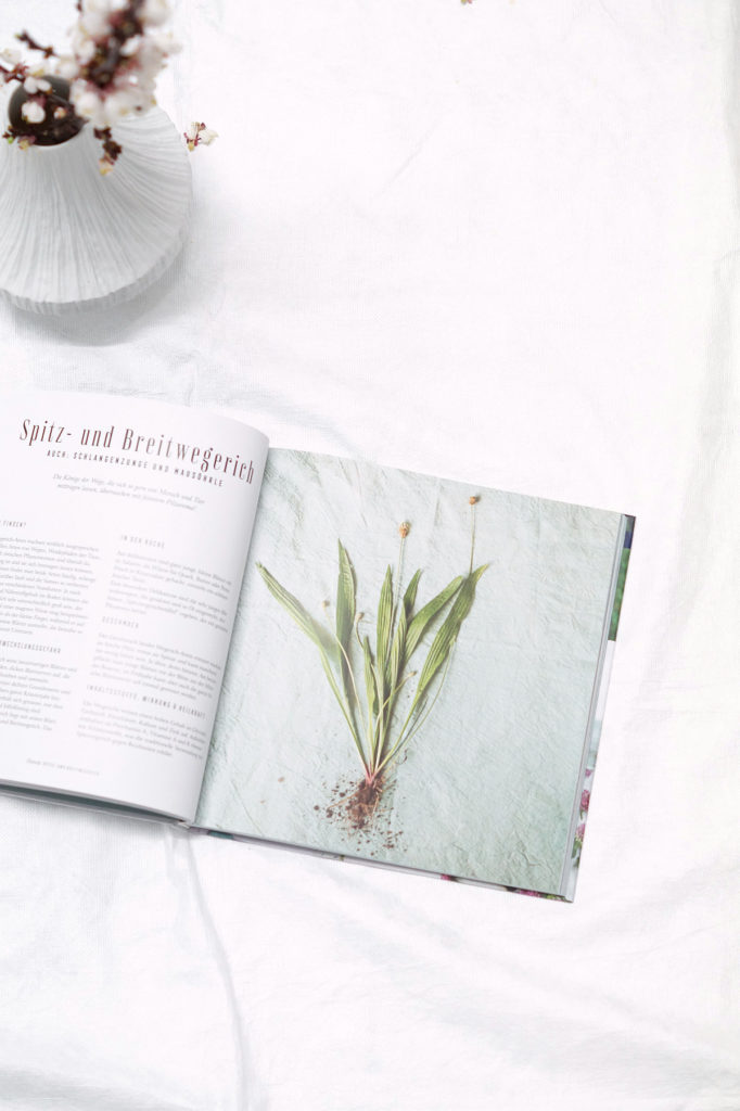 Buchvorstellung: Wilde Wiese, Verlag Callwey | Foto: Sabine Wittig