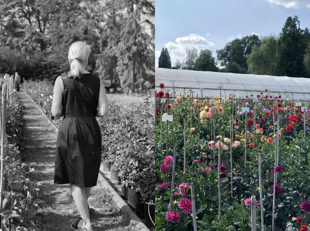 Im Schaugarten Paul Panzer Bad Köstritz